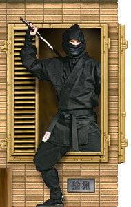 ninja
