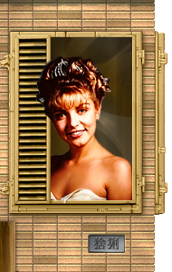 Laura Palmer, Twin Peaks